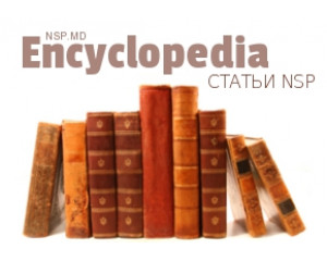 Энциклопедия NSP