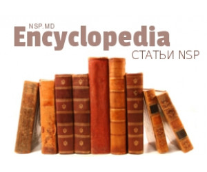 Энциклопедия NSP
