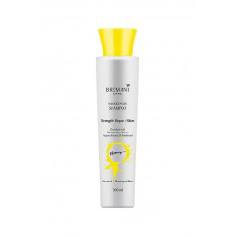 Шампунь «Перевоплощение волос. Сила, сияние и гладкость» - Makeover Shampoo. Normal & Damaged Hair Шампунь «Перевоплощение волос. Сила, сияние и гладкость» - Makeover Shampoo. Normal & Damaged Hair