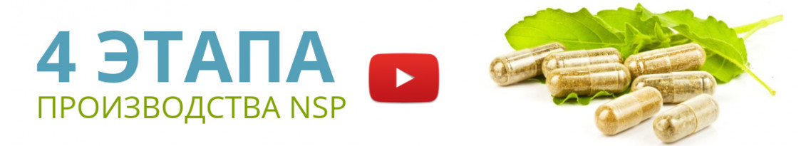 4 этапа производства NSP