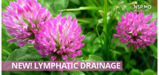 Новый продукт для лимфодренажа
