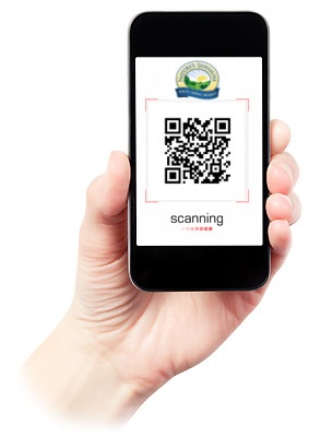 Дисконтная карта NSP бонусы скидки подарки