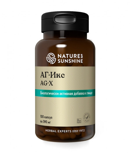 ЭйДжи Экс - AG X