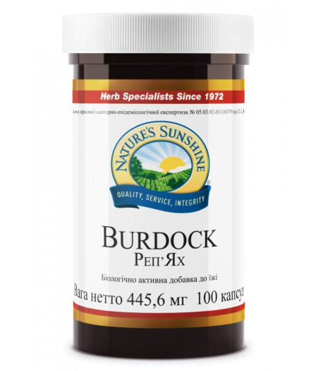 Репейник - Burdock - Бердок