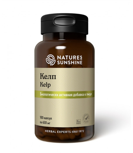 Келп - Бурая водоросль - Йод