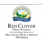 Красный Клевер - Red Clover