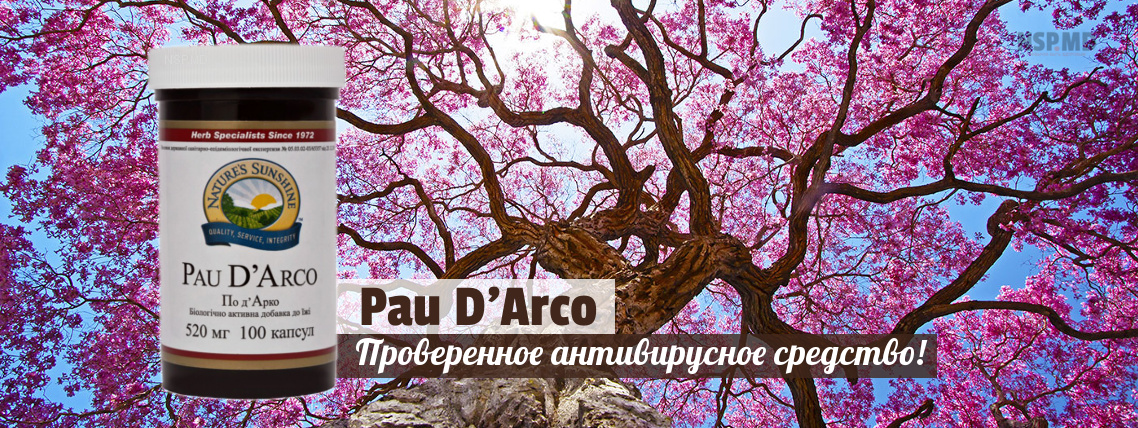 По Дарко - Кора Муравьиного дерева