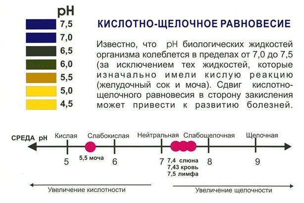 Кислотно-щелочное равновесие в крови человека