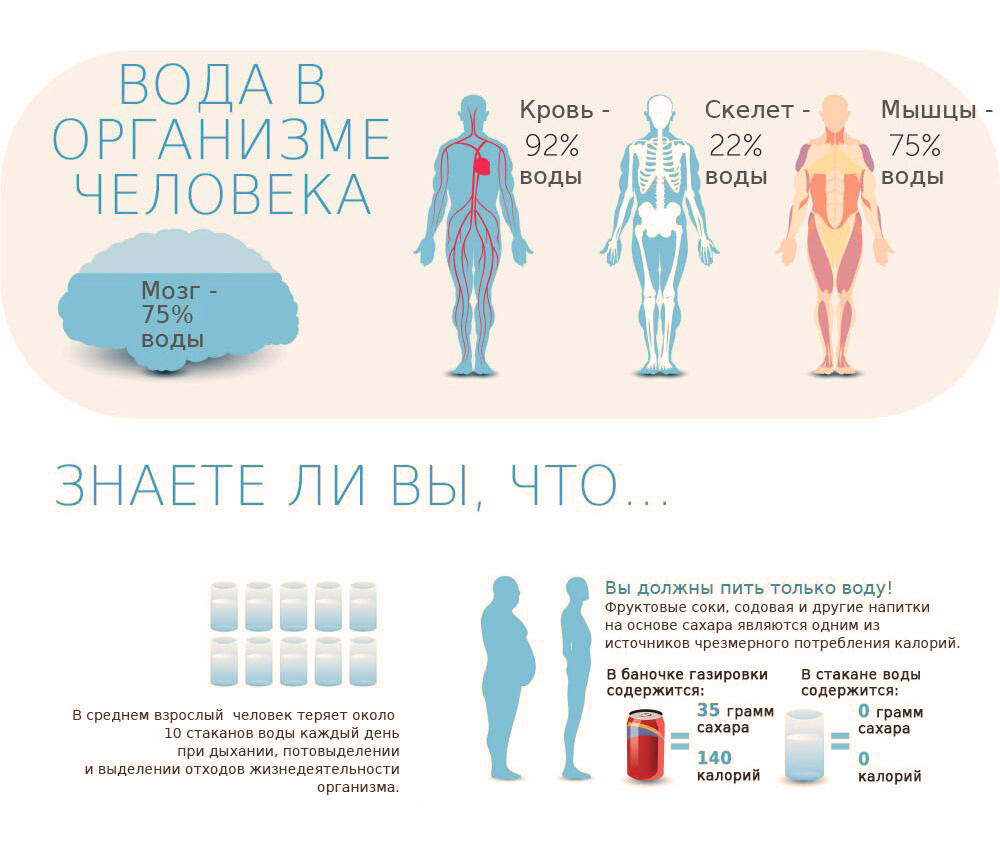 Вода в организме человека