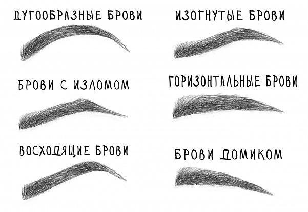 Какие брови у тебя?