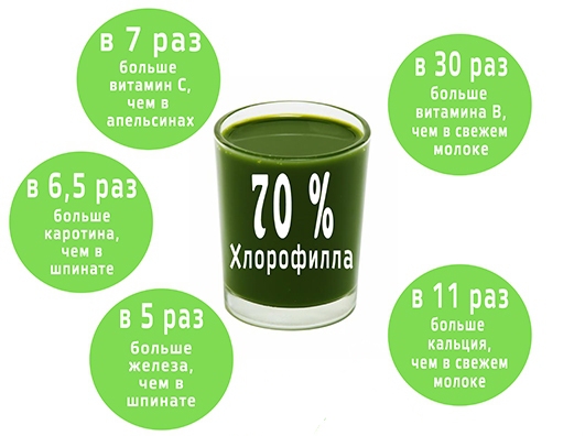 Преимущества Хлорофилла