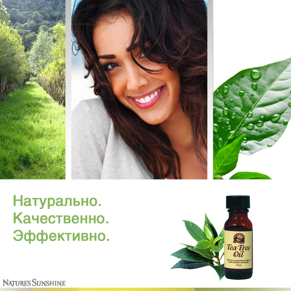 Масло чайного дерева в Молдове купить