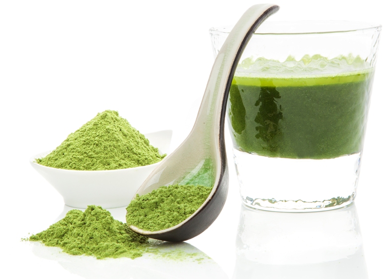 Хлорелла как источник белка NSP МОЛДОВА