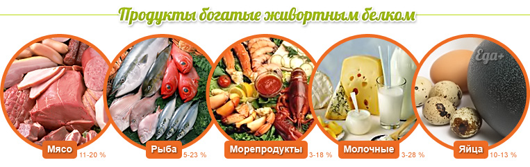 Животный белок в Молдове купить NSP