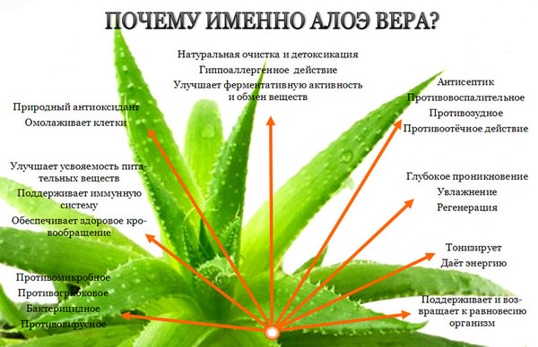 Сок Алое в Молдове купить