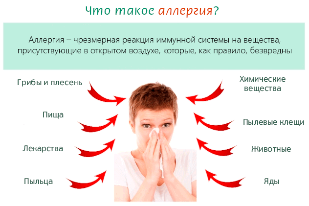 Что такое аллергия