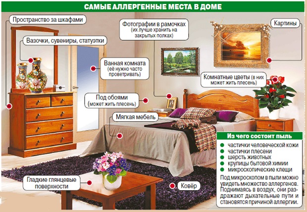 Самые аллергенные места в доме