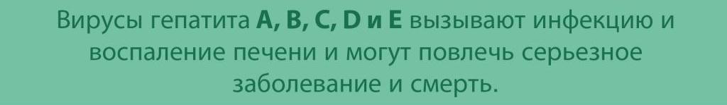 Вирус Гепатит