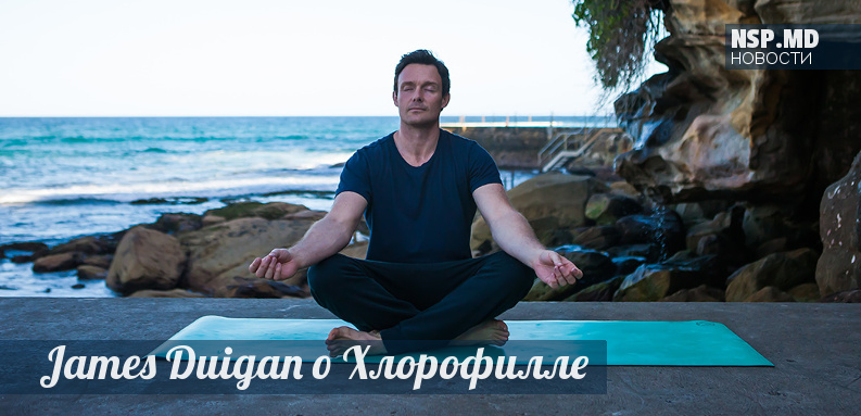 Английская газета Daily Mail рекомендует Хлорофилл