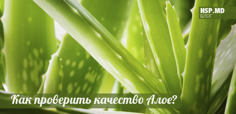 Как проверить качество алое?