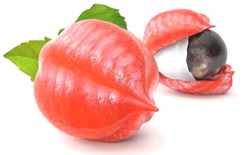 Гуарана напиток молдова NSP Солстик купить