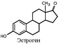 Эстрогены NSP для женщин