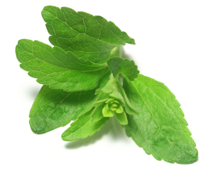 Стевия в Молдове