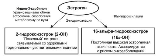 Индол 3 и Эстрогены