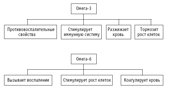 Соотношение Омеги 3 и Омеги 6