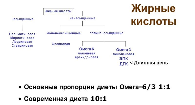 Жирные кислоты