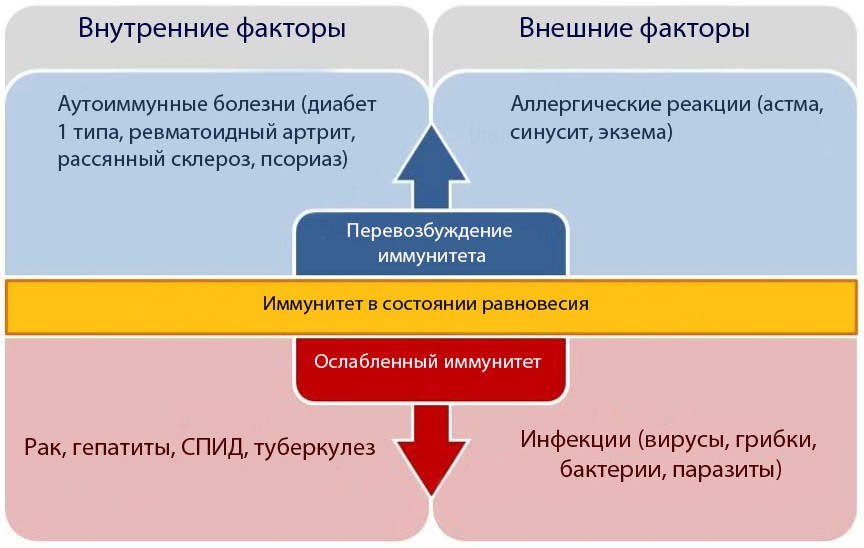 Функции иммунитета человека