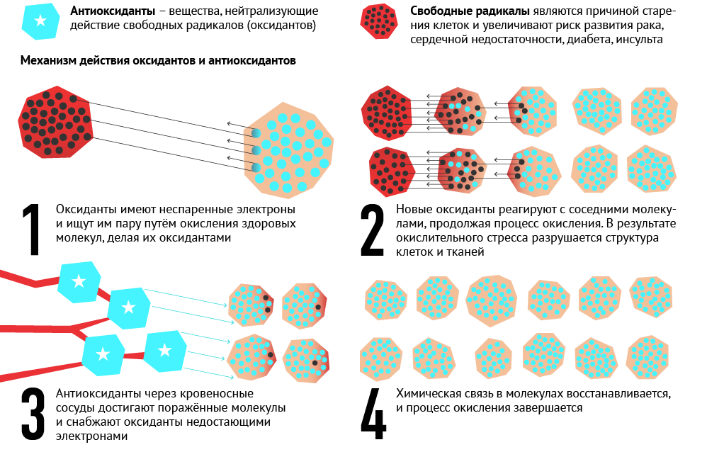 Зачем нужны антиоксиданты?