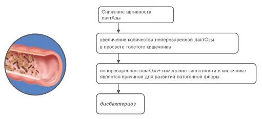 Дисбактериоз у грудничков