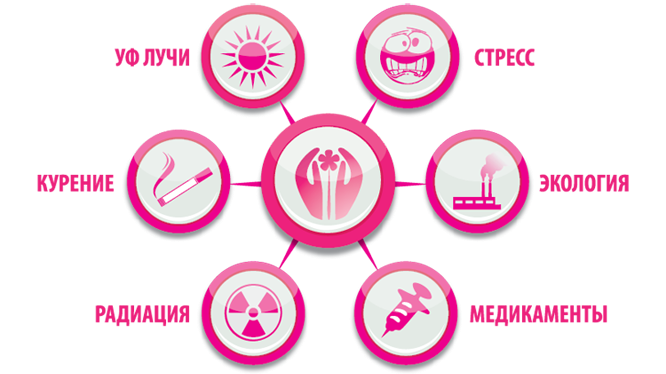 Зачем нужны антиоксиданты NSP