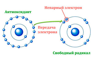 Что делает Антиоксидант?