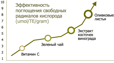 Экстракт листьев Оливы в Молдове купить NSP 