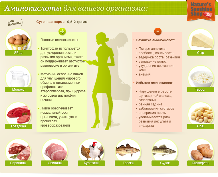 Зачем нам нужны аминокислоты