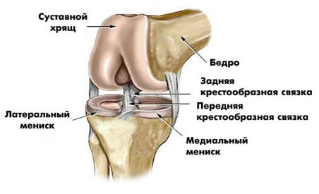 МСМ в Молдове для суставов и хрящей