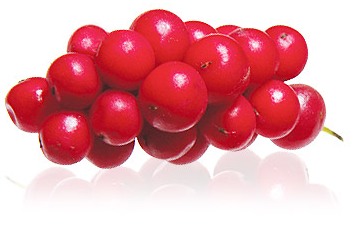 Лимонник китайский NSP Молдова Нутри Калм