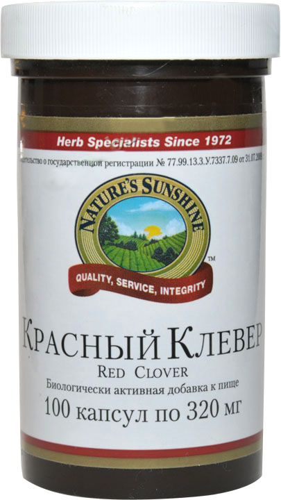  Красный Клевер широко распространенное цветковое растение