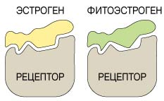 Фитопрогестероны в Молдове купить